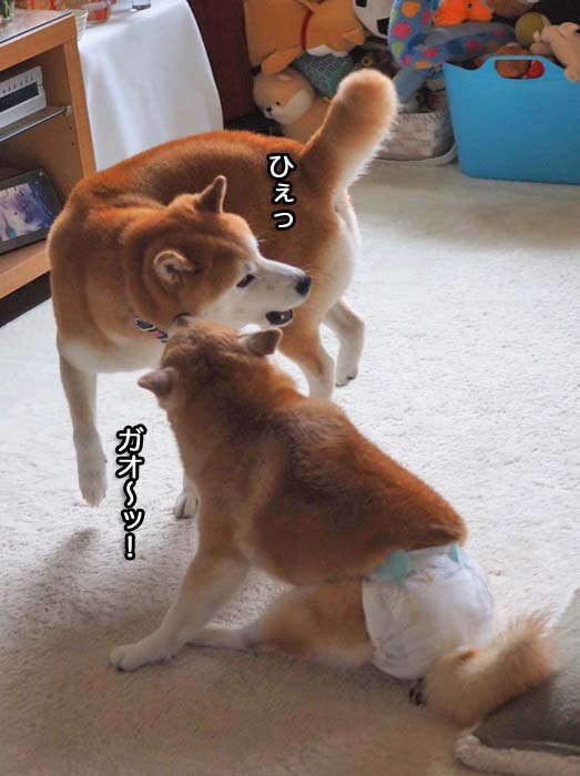 28日夜ブログ８