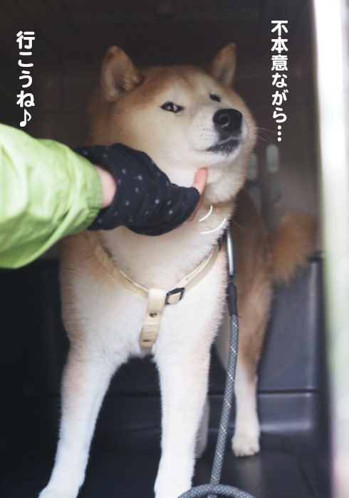 20日夕ブログ１０