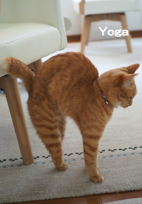 10日夕ブログ６