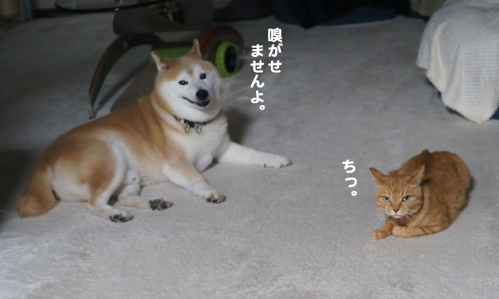 16日ブログ４