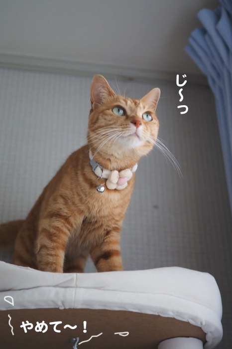 3日夕ブログ８