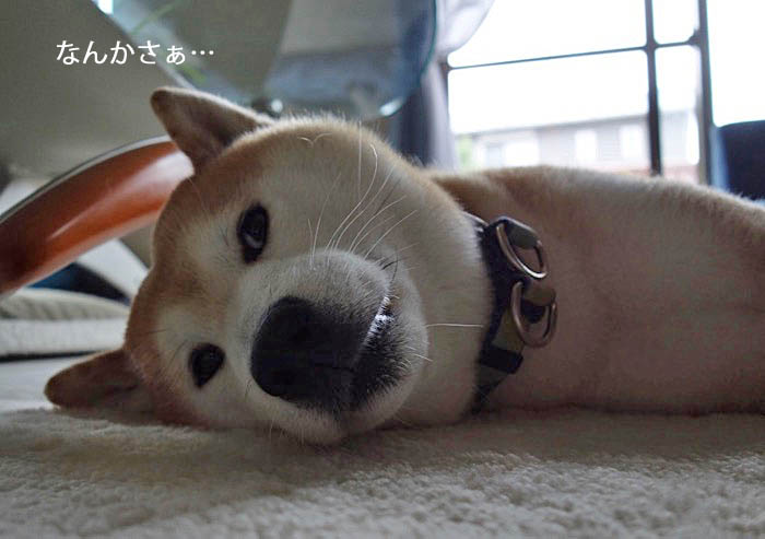 21日ブログ２