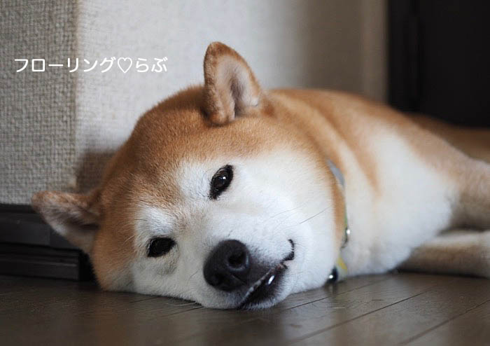 5日ブログ３