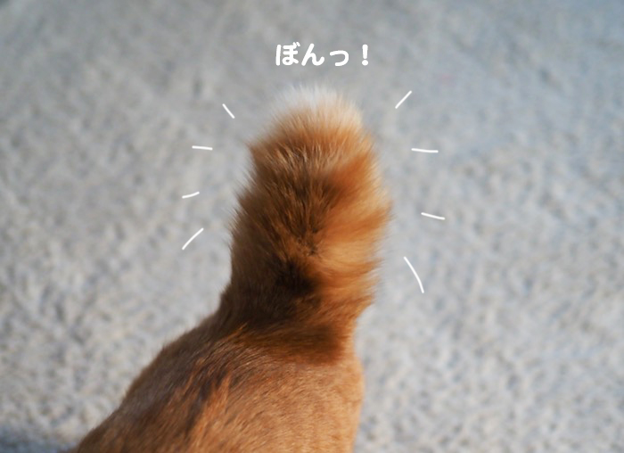 14日夕ブログ４