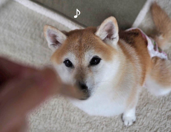25日ブログ１２