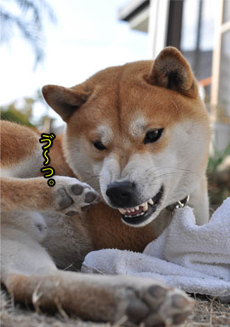 25日ブログ13.jpg