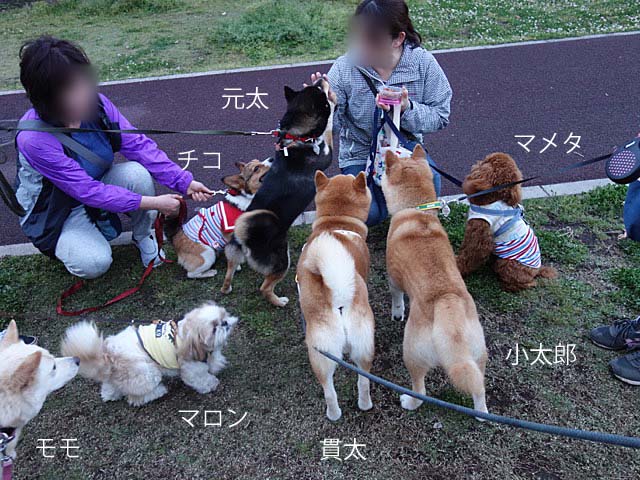 28日ブログ2
