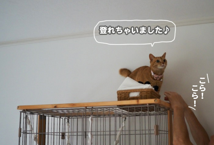 3日夕ブログ４