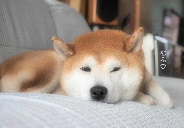 7日ブログ8