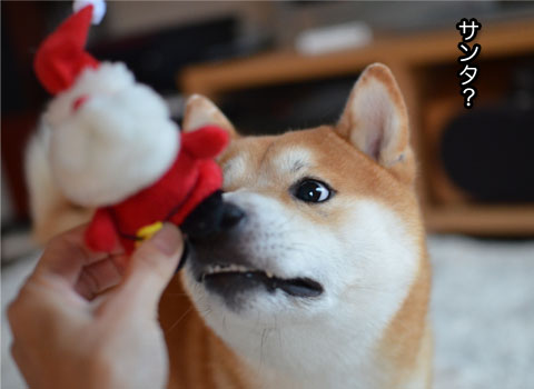 22日ブログ7.jpg