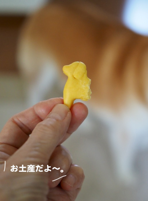 6日ブログ３