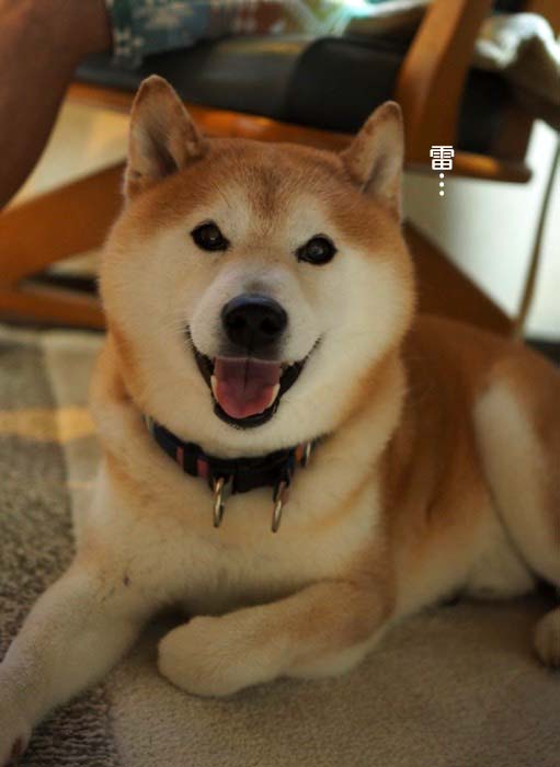 24日夕ブログ７