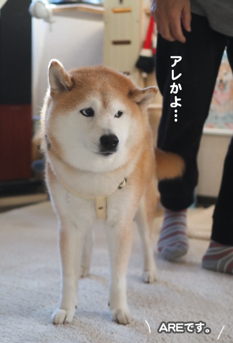 7日ブログ８