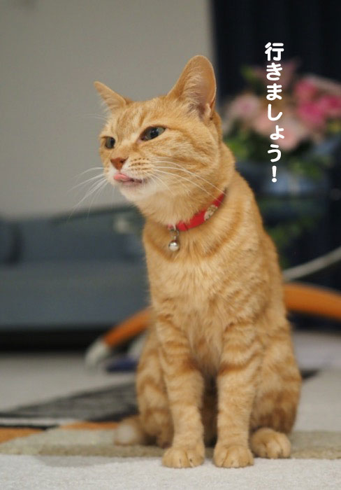 13日夕ブログ７