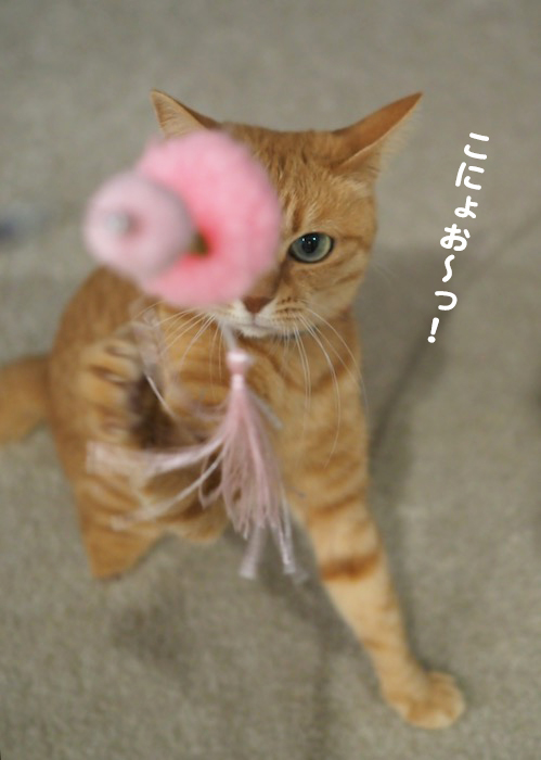 25日夕ブログ６