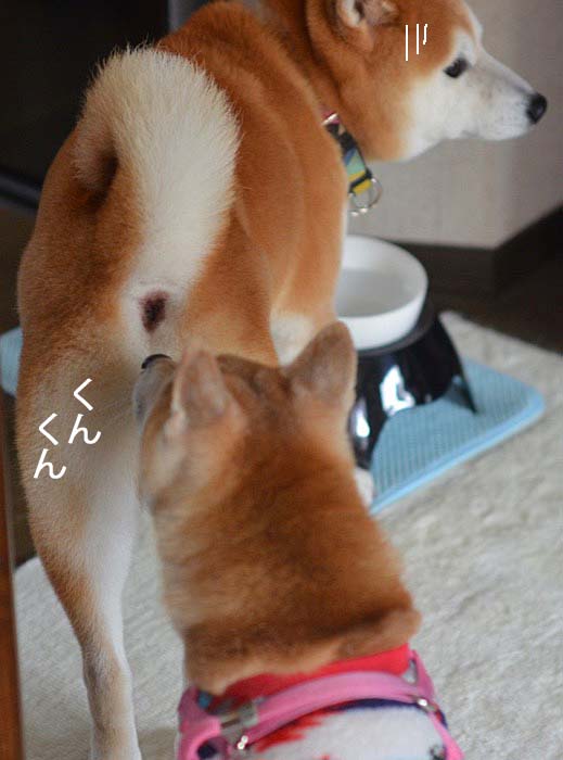 17日夜ブログ3