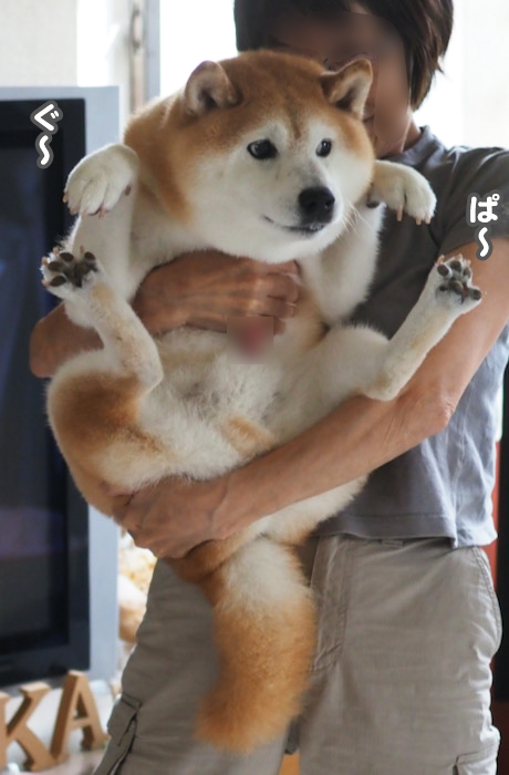 14日夜ブログ１