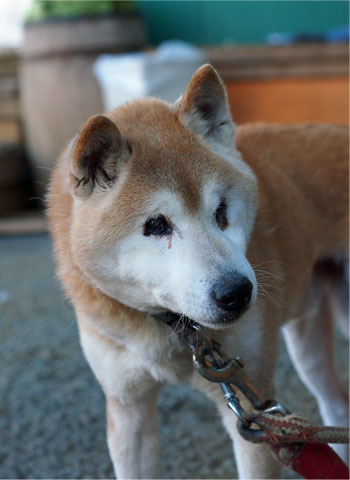 11日ブログ6.jpg