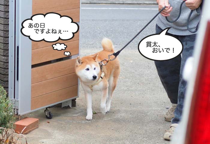 25日ブログ２