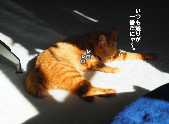 16日夕ブログ２