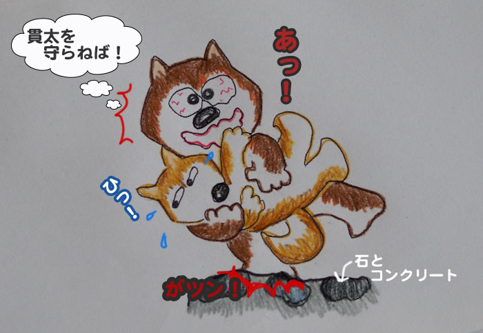 17日夕ブログ４