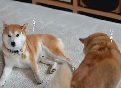 25日ブログ5.jpg
