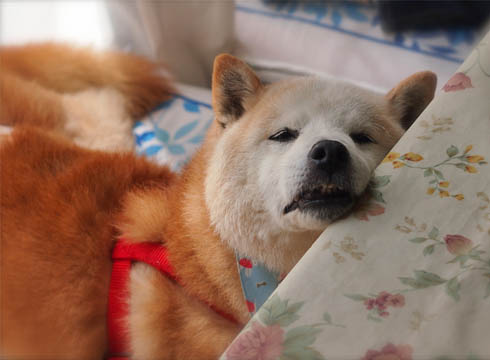 29日ブログ11.jpg