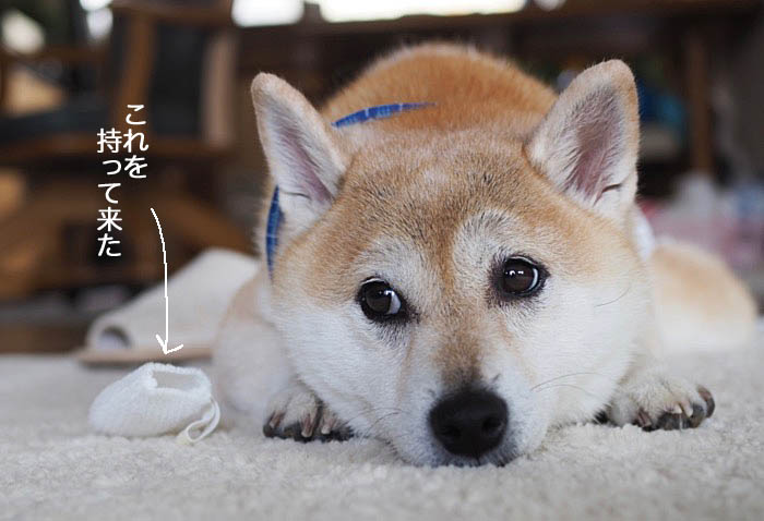 18日ブログ２
