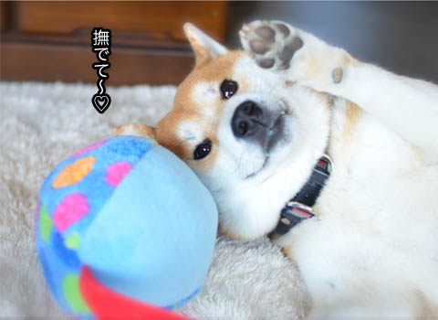 5日ブログ4.jpg
