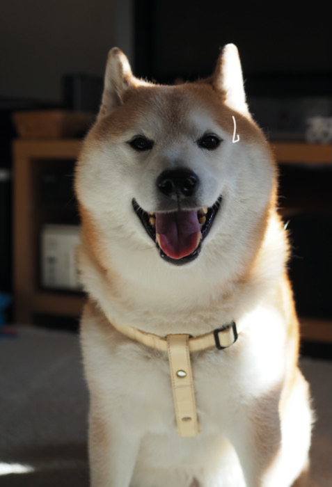 20日夕ブログ２