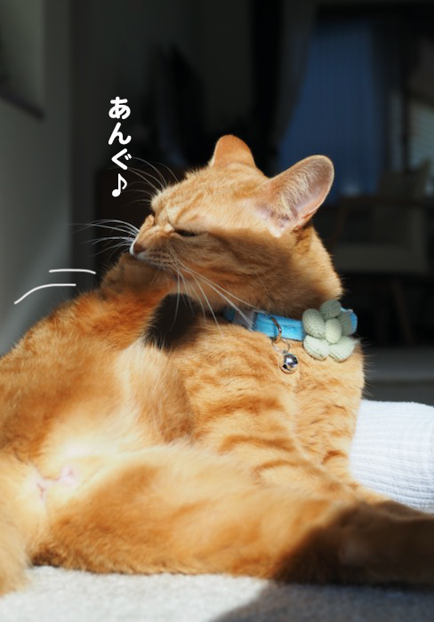 27日夕ブログ５