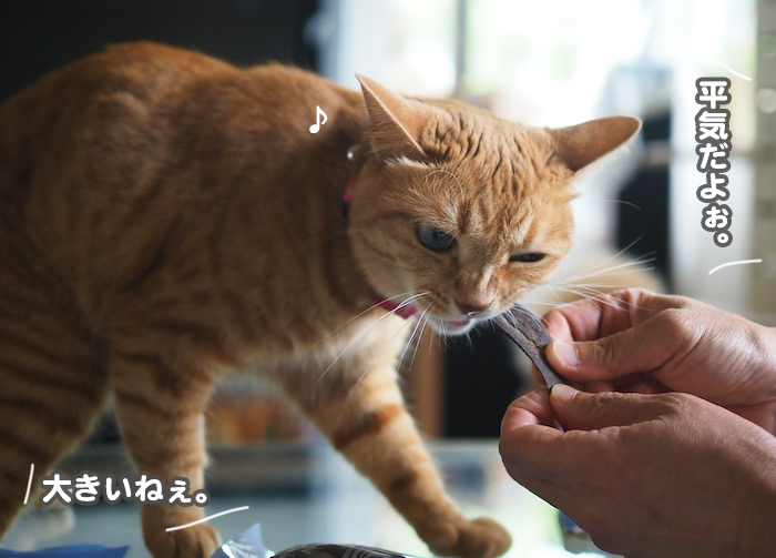 18日夕ブログ9