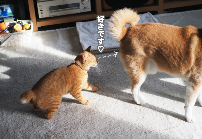 24日夕ブログ１５