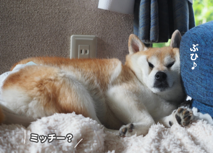 1日夕ブログ１４