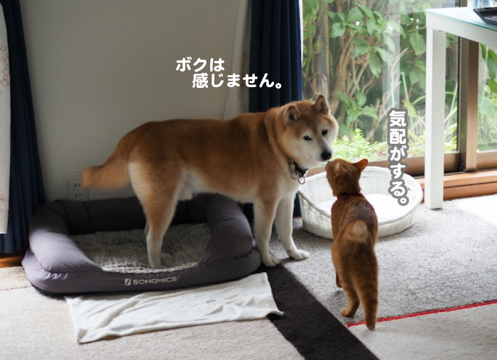 13日ブログ７