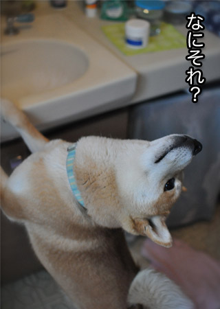 7日ブログ７.jpg