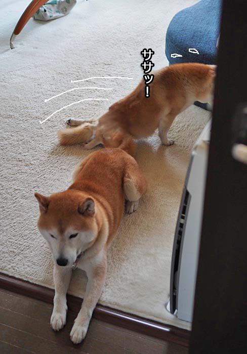 17日夜ブログ９