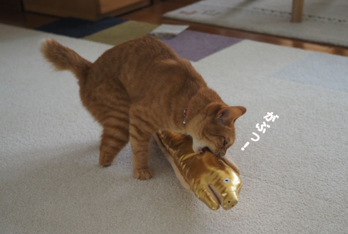 23日夕ブログ５