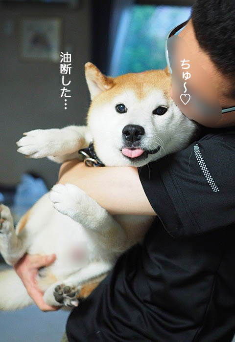 19日ブログ９