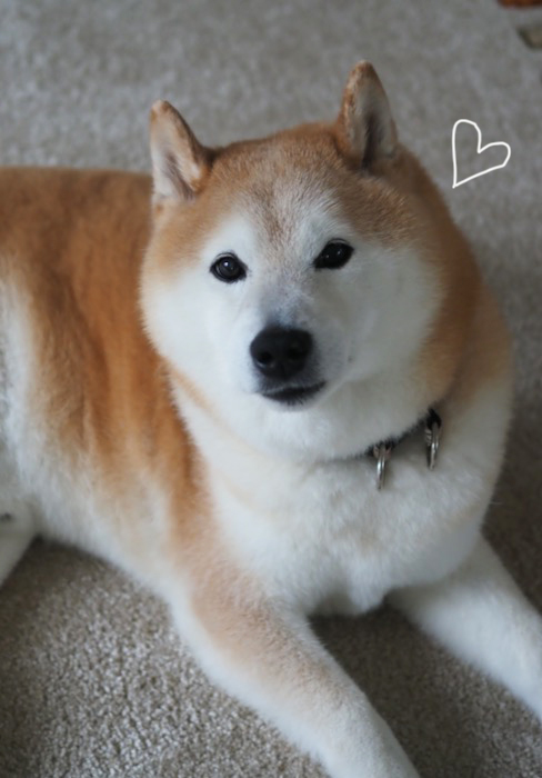 28日夕ブログ８