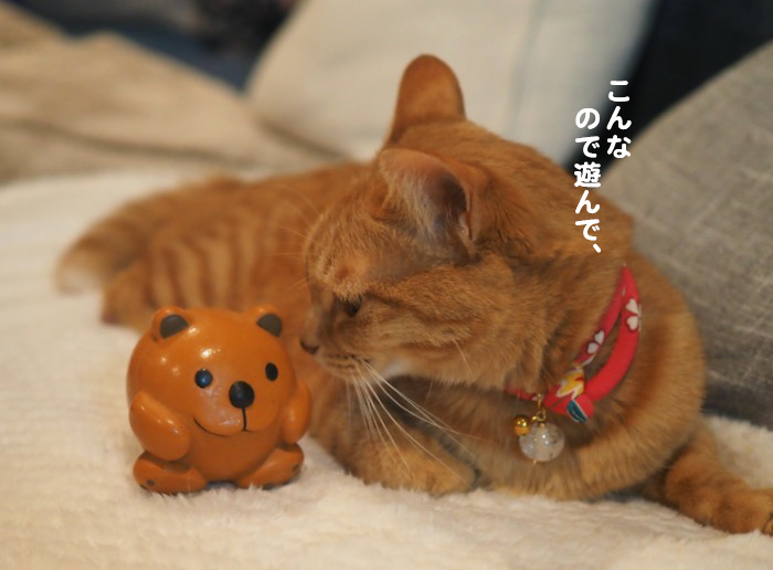 15日夕ブログ７