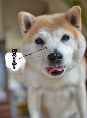 30日ブログ9.jpg