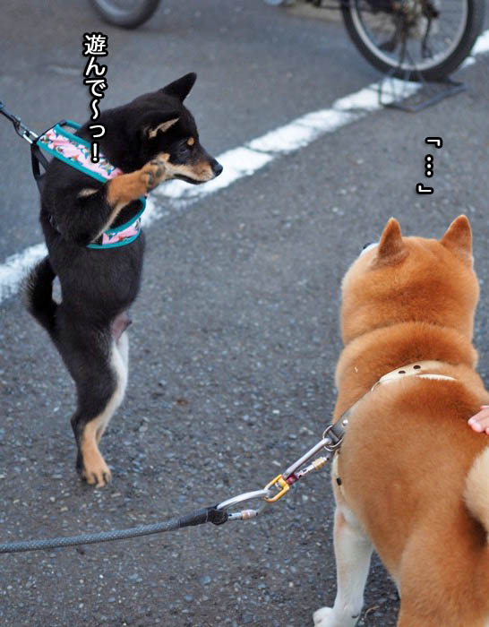 4日夜ブログ8