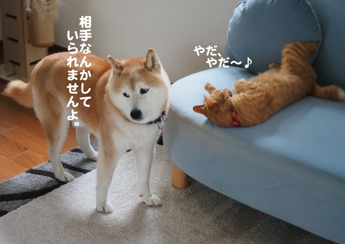 13日夕ブログ１０