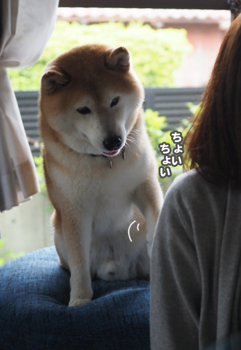 26日夜ブログ９