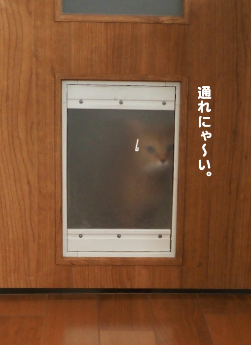 24日夕ブログ３