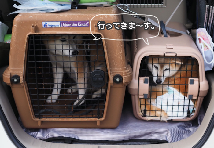 17日夜ブログ６