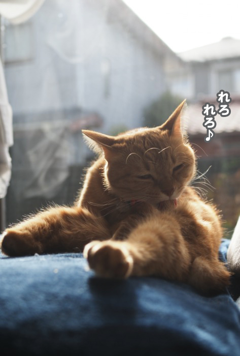 22日ブログ３