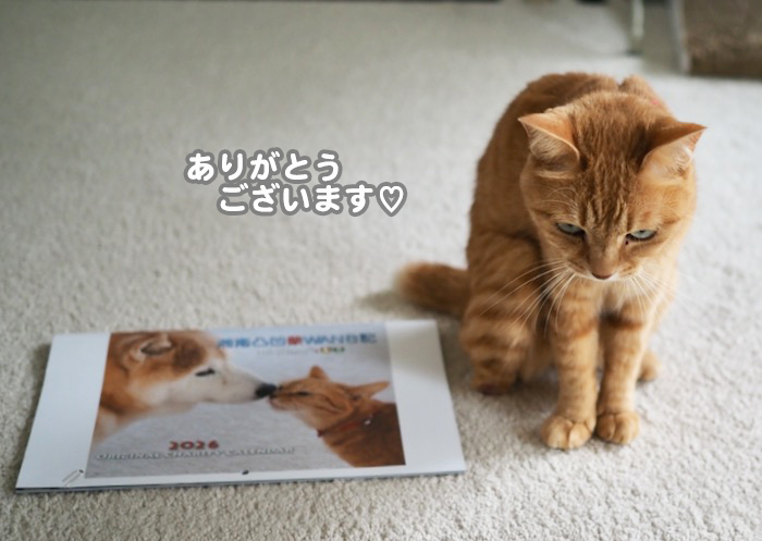 23日夕ブログ８