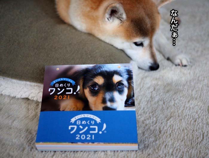 30日ブログ３